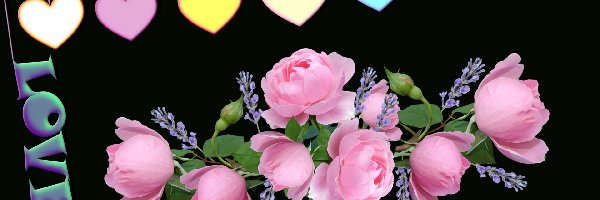 Love, Serca, Napis, 2D, Róże, Kwiaty