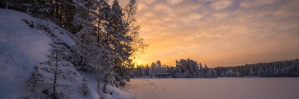 Jezioro Näsijärvi, Rejon Pirkanmaa, Tampere, Wschód słońca, Las, Drzewa, Zamarznięte, Zima, Świt, Domy, Ślady, Finlandia