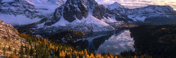 Góra Mount Assiniboine, Ośnieżone, Kanada, Kolumbia Brytyjska, Góry, Jezioro Sunburst Lake, Drzewa, Park Prowincjonalny Mount Assiniboine