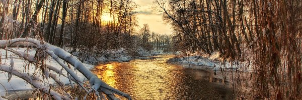 Rzeka, Przebijające słońce, Las, Zima