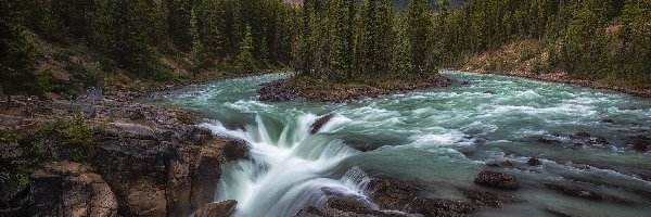 Góry, Park Narodowy Jasper, Prowincja Alberta, Wodospad Sunwapta, Rzeka Sunwapta, Drzewa, Kanada