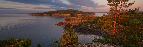 Wschód słońca, Rosja, Drzewa, Karelia,  Jezioro Ładoga, Wysepki, Skały
