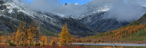 Jezioro Jack London Lake, Drzewa, Mgła, Góry Kołymskie, Jesień, Rosja, Magadan, Pies, Kołyma