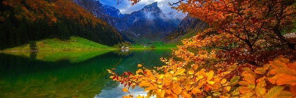 Szwajcaria, Jezioro, Jesień, Drzewa, Góry