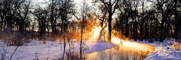 Słońca, Drzewa, Wschód, Śnieg, Rzeka, Zima