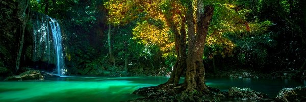 Wodospad, Drzewo, Rzeka, Tajlandia, Park Narodowy Erawan