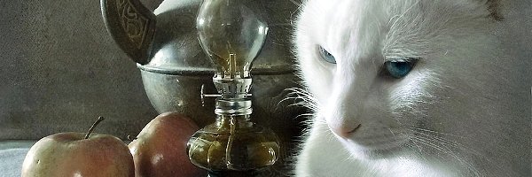 Kot, Jabłko, Biały, Lampa, Dzbanek