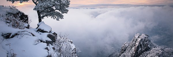 Chmury, Góry, Korea Południowa, Jeolla Północna, Mgła, Drzewo, Park prowincjonalny Daedunsan, Zima