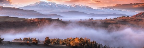 Góry Karpaty, Mgła, Lasy, Wschód słońca, Chmury