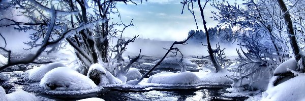 Rzeka, Drzewa, Mgła, Zima