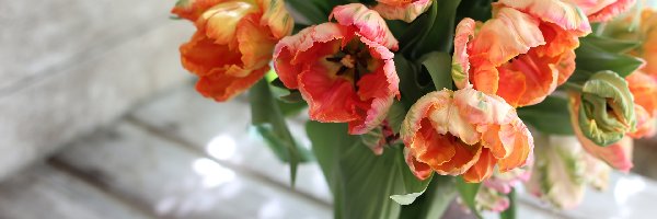 Wazon, Bukiet, Tulipany