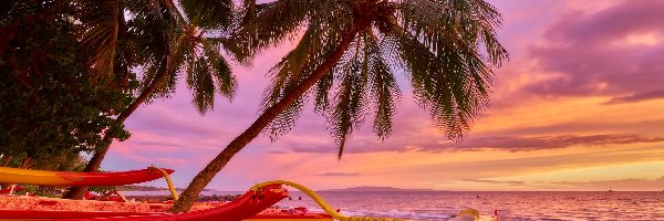 Palmy, Morze, Kajaki, Zachód słońca, Wyspa Maui, Hawaje