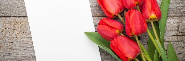 Deski, Kartka, Tulipany