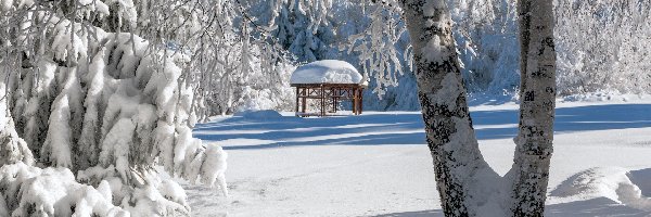 Zima, park, Śnieg, Altanka, Drzewa