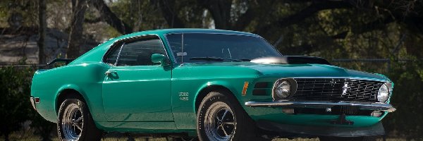 Mustang, Ford, Zabytkowy