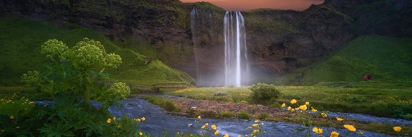 Islandia, Rzeka Seljalandsa, Niebo, Skały, Wodospad Seljalandsfoss, Kwiaty, Żółte