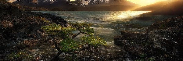 Wschód słońca, Jezioro, Skały, Park Narodowy Torres del Paine, Góry, Chile