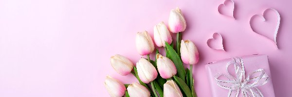 Serduszka, Tulipany, Kwiaty, Różowe tło, Prezent