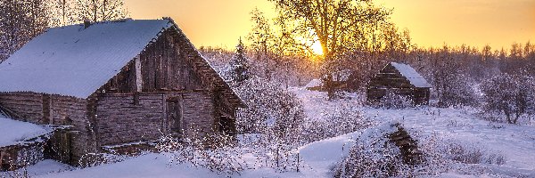 Zima, Domy, Śnieg, Wschód słońca, Drzewa