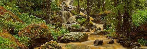 Kamienie, Rzeka, Kaskada, Las, Dolina Aosty, Włochy
