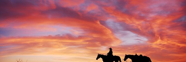 Jeździec, Konie, Zachód słońca