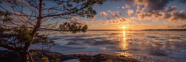 Przylądek Murikka, Region Pirkanmaa, Sosna, Chmury, Jezioro Näsijärvi, Jezioro, Zachód Słońca, Finlandia
