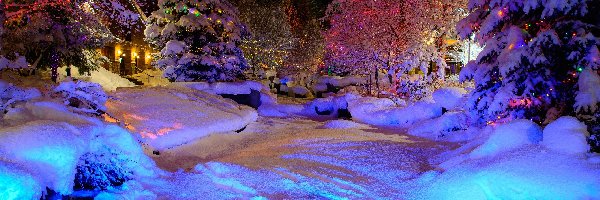 Śnieg, Światełka, Drzewa, Zima