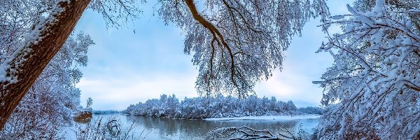 Śnieg, Kraj Stawropolski, Rosja, Rzeka Terek, Zima, Drzewa, Ośnieżone
