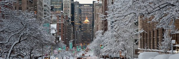 Ulica, Nowy York, Zima