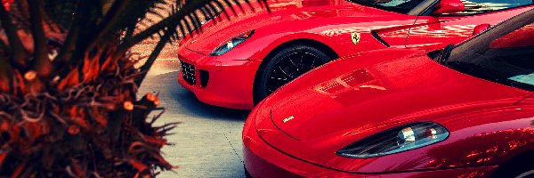 Dwa, Czerwone, samochody, Ferrari f430, Ferrari 590