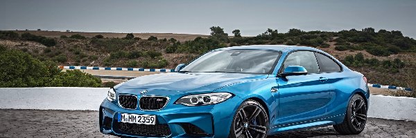 2016, BMW M2 Coupe F87