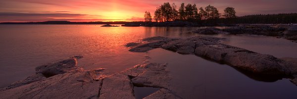 Rosja, Skały, Drzewa, Kamienie, Jezioro Onega, Karelia, Zachód słońca