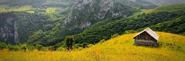 Rumunia, Lasy, Góry, Chatka, Drewniana