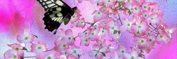 Motyle, Grafika, Kolorowe tło, Kwiaty
