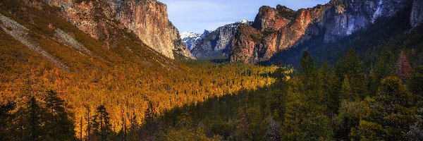 Stany Zjednoczone, Szczyt El Capitan, Dolina Yosemite Valley, Góry, Park Narodowy Yosemite, Stan Kalifornia, Lasy