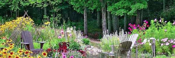 Kwiaty, Las, Wypoczynek, Ogród