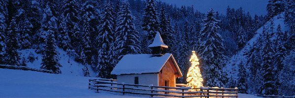 Zima, Las, Dom, Boże Narodzenie, Choinka