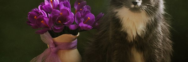 Kot, Fioletowych, Bukiecik, Wazon, Kwiatów