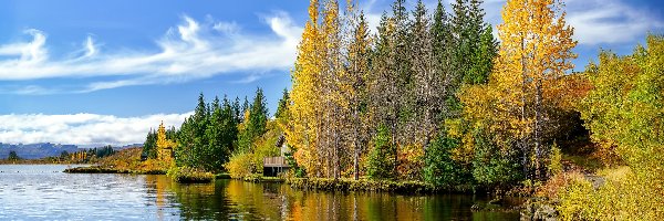 Jezioro Attersee, Drzewa, Domki, Austria, Jesień
