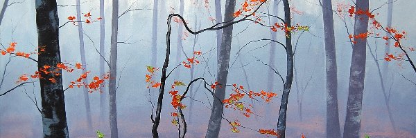 Mgła, Drzewa, Liście, Reprodukcja, Las, Jesień