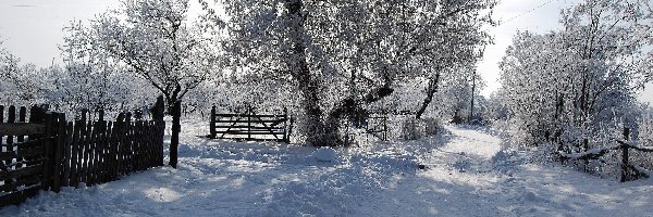 Stare, Droga, Ogrodzenia, Śnieg, Drzewa