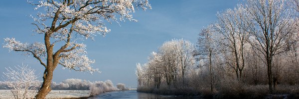 Drzewa, Widok, Zimowy, Rzeka