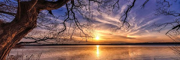 Drzewo, Wschód słońca, Jezioro