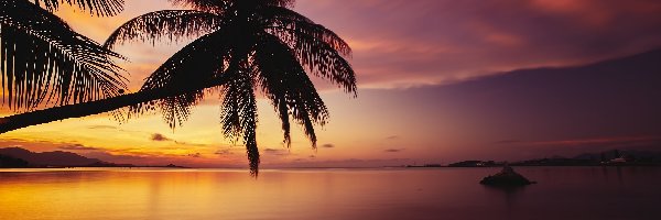 Zachód słońca, Palmy, Morze
