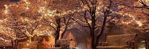 Zima, Oświetlone, Ławeczki, Park, Drzewa