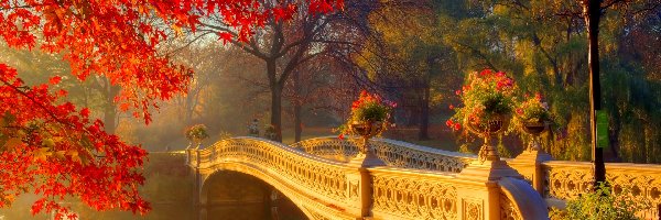 Jesień, Rzeka, Most, Latarnia, Drzewa