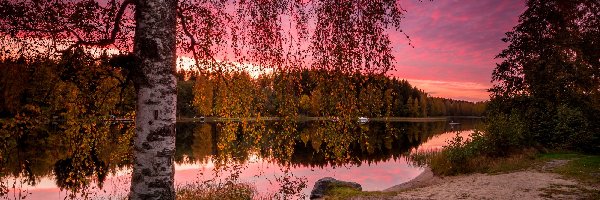 Jezioro Näsijärvi, Prowincja Finlandia Zachodnia, Chmury, Brzoza, Region Pirkanmaa, Jesień, Drzewa, Finlandia