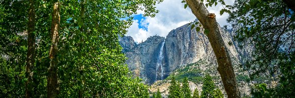 Drzewa, Park Narodowy Yosemite, Las, Góry, Stan Kalifornia, Stany Zjednoczone