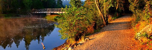 Most, Jesień, Ścieżka, Rzeka