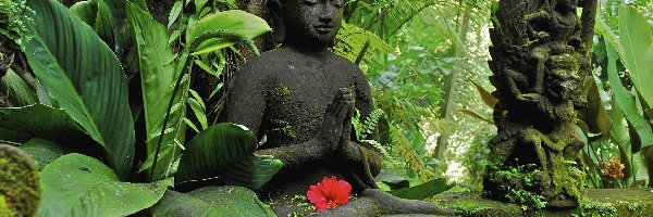Posągi, Budda, Indonezja